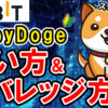 【動画あり】仮想通貨 BabyDoge(ベイビードージコイン）の買い方、レバレッジ方法【Bybit】【バイビット】【取引所】【購入方法】【先物】【暗号資産】【超初心者向け】