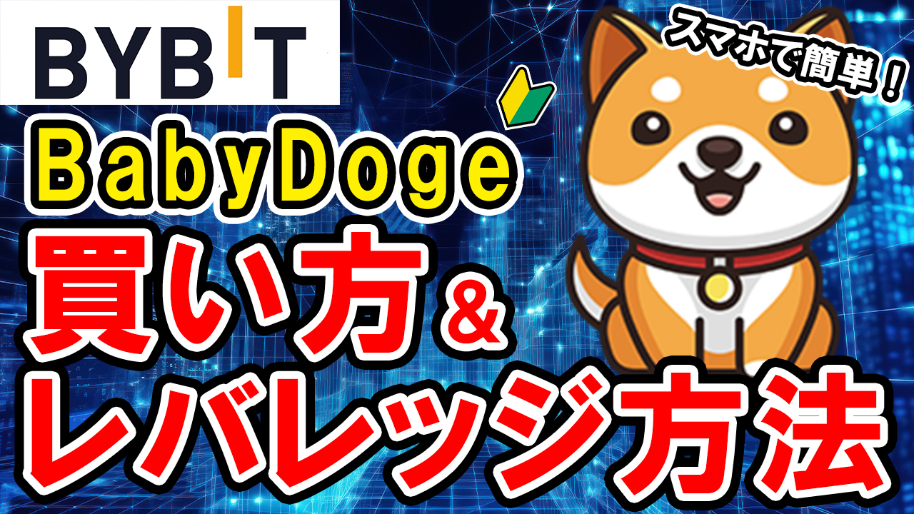 【動画あり】仮想通貨 BabyDoge(ベイビードージコイン）の買い方、レバレッジ方法【Bybit】【バイビット】【取引所】【購入方法】【先物】【暗号資産】【超初心者向け】