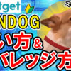 【動画あり】仮想通貨 SUNDOGの買い方、レバレッジ方法【Bitget】【ビットゲット】【取引所】【先物】【暗号資産】【超初心者向け】