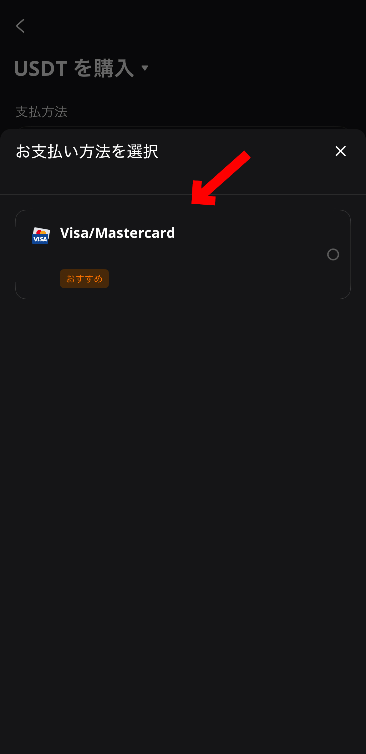 【動画あり】仮想通貨 PI(Pi Network)の買い方、売り方【パイネットワーク】【BTCC】【取引所】【先物】【暗号資産】【超初心者向け】お支払方法を選択します