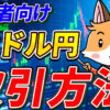 【動画あり】NZドル円の取引方法【ニュージーランドドル円】【キウイ円】【初心者向け】【スマホで簡単】【始め方】【DMM FX】